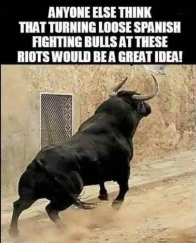 fcd3e405-e1f7-4acd-9847-dfa0729567a1