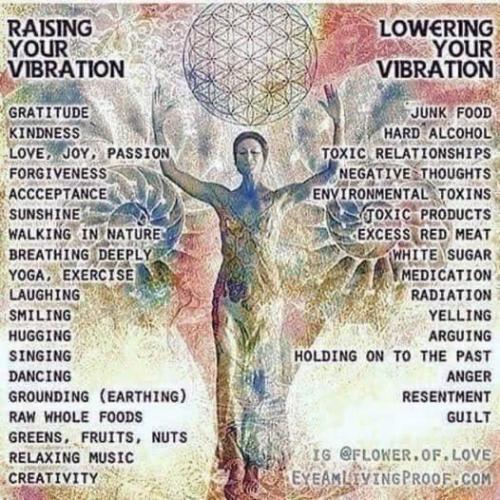 ,     ,       273410949_71196934381