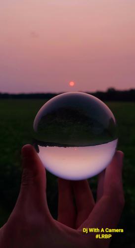 Screenshot_20260217_203234_Gallery