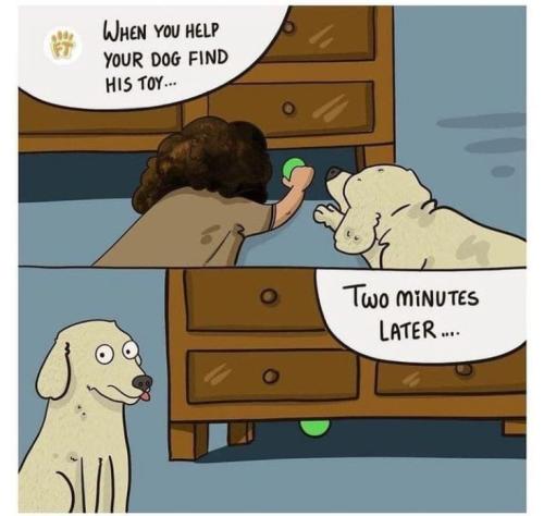 f4eaafce34fdba429c16d1b79fde08bc