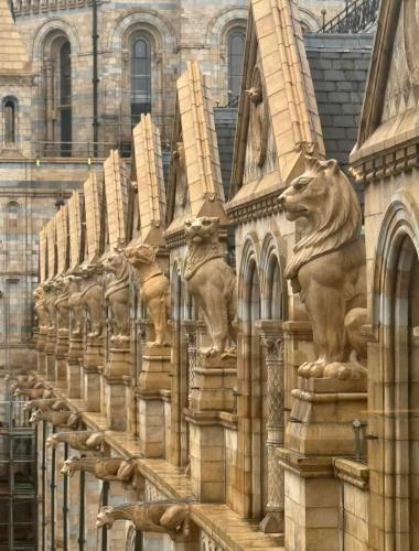 RDT_20260215_1604523041359082648331334