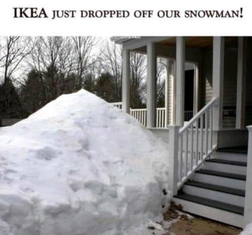 Screenshot_20260131_085258_Gallery