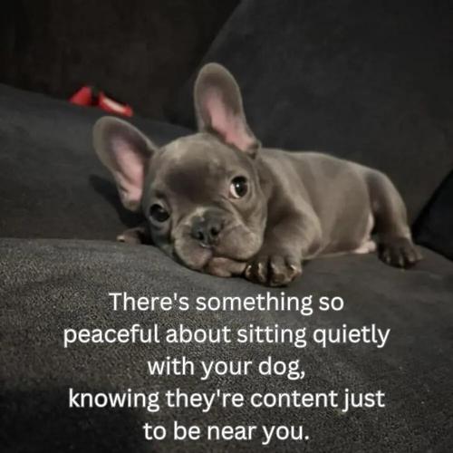 TESTHUB_photos_users_KPBY8Tc46ldqLjWXf6bqxqOW3AR2_-OlDuSGz5qcDfKS2bc91_img_rsz__1100x1100