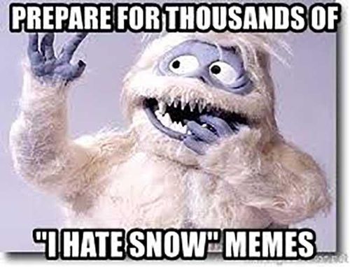 prepared-for-thousand-of-i-hate-snow-memes