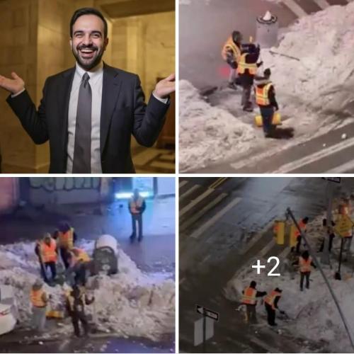 235d57ae-3375-478a-8610-fdbfaabc0c99