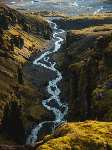 RDT_20260215_0839498762484824079600437