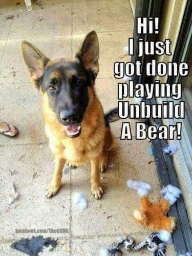 0588203cb357d43976f74071f0a92eb3