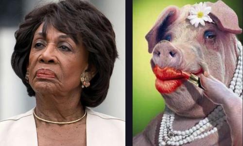 edf6d046627edd35f1c1e179d5758b59