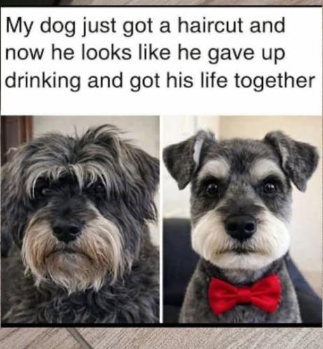 626787258_3042833122586379_6152629705576306549_n