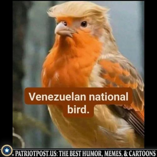 000000000000000000000000000000000000000000000000000000000000000000000000000000000000000000000000000000000000000000000000000000000000000000000000000000000000000000000000000000000000000000000000000000000000000000000bbx