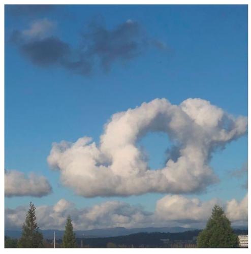 5e17253d-a06b-44e5-8ae2-7c68f7cd59dc