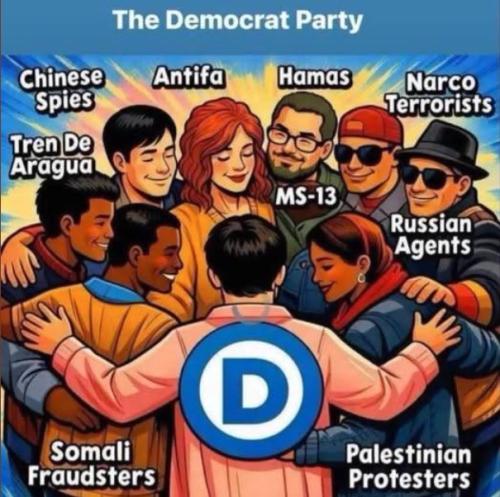 DEMOCRAT PARTY CHAOS