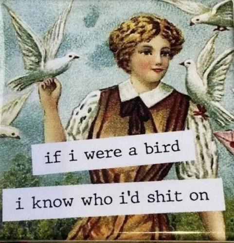 TESTHUB_photos_users_KPBY8Tc46ldqLjWXf6bqxqOW3AR2_-OjXXP3tbDD1FCMoYohf_img_rsz__1100x1100