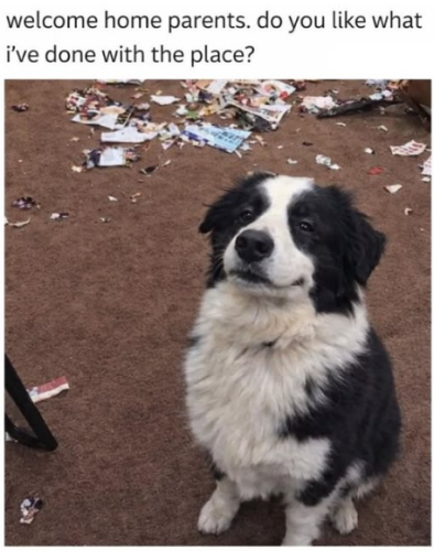 welcome-home-parents-do-like-done-with-place