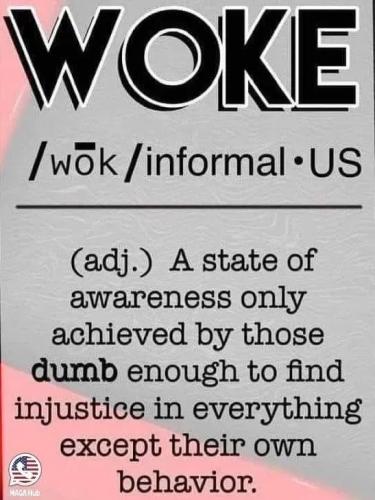 17712400690728155196700352768569_716206506057462