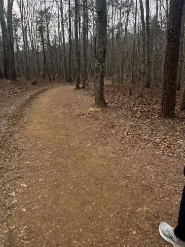 869C0B58-C351-4285-B42D-368F201E879C