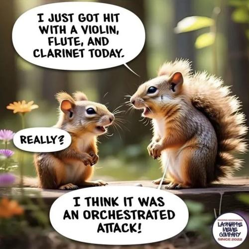 17573749947951740675197750942105_382542911587973