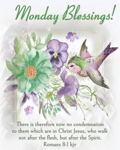 630168541_1234685582107964_4504758578441753166_n