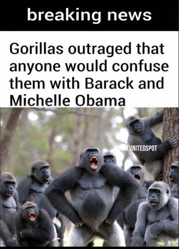 IMG_20260208_072735_287