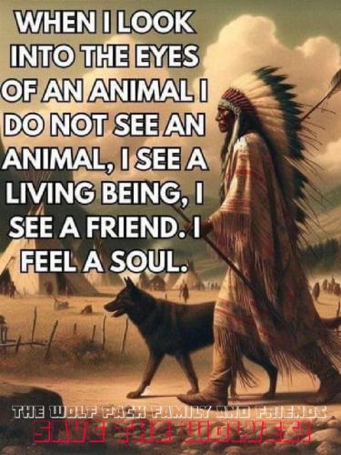 Native American