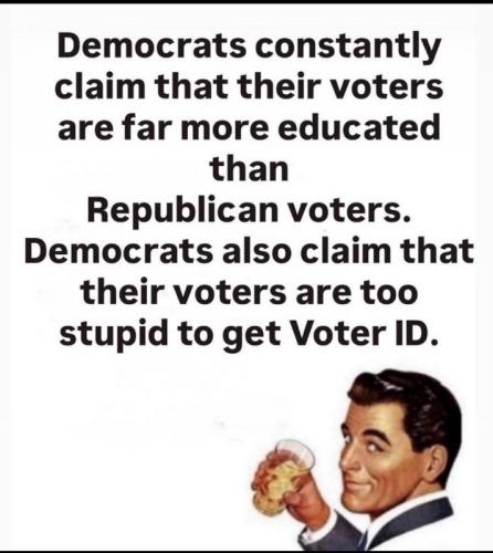 Democratic Mental Illness 11