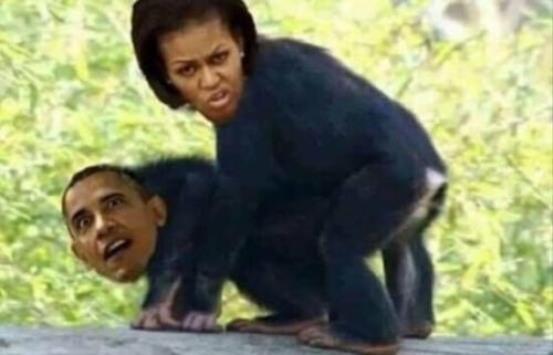 Screenshot_20260208-154125_Gallery