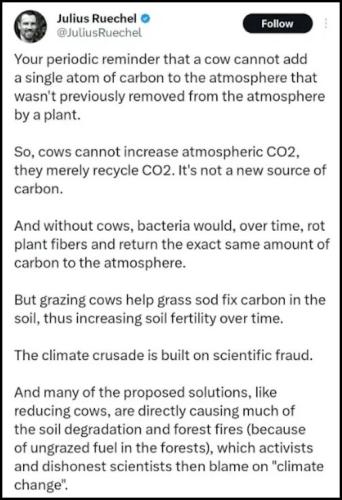 cows-add-no-carbon