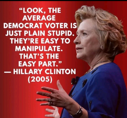 hillary 2005 says democrat voters are stupid