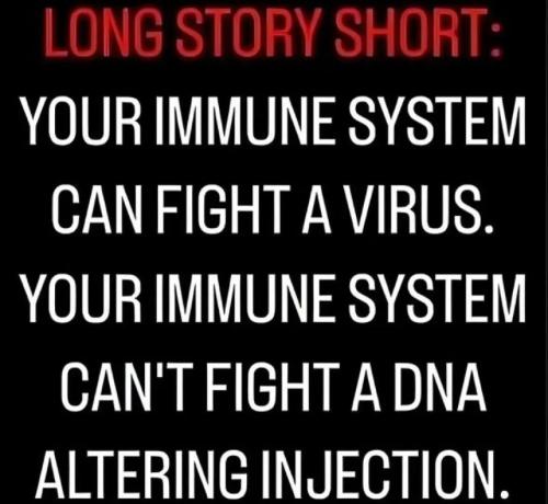 17678713431159046410155806029746_146114713832385