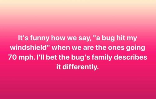 N4t61NyX3LsVKmySsf7f_31_ad1d90bb83798924fcd05a917984a233_image