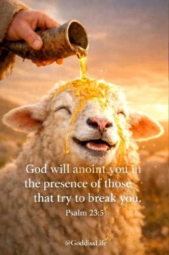 TESTHUB_photos_users_KPBY8Tc46ldqLjWXf6bqxqOW3AR2_-OmHeMHKEGj9SSfvkVzy_img_rsz__1100x1100