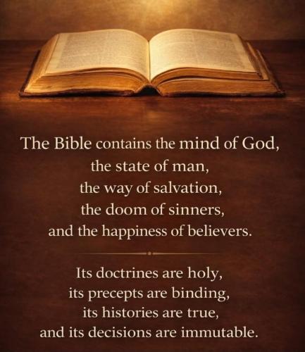 df86dda6-09e7-42c0-b691-947e84e7b36d