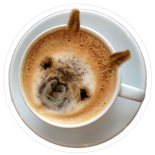 1dc797914bac63bcf139c2606d6670c7