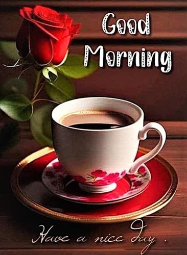 021826 - GM. Red Rose, HAND