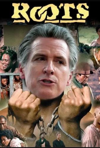 17721922400427336710162011449551_1290945499961341