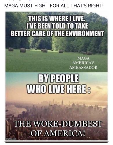 31F08FFA-0B96-4D70-94CC-0BCDC6F27499