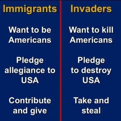 1771494417483626441841727423473_858401773533219