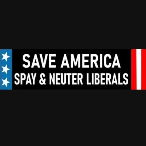 TESTHUB_photos_users_KPBY8Tc46ldqLjWXf6bqxqOW3AR2_-OcmEuZ6wQ6LG2tc_4-Y_img_rsz__1100x1100