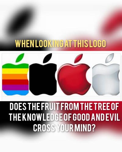 FB_IMG_1771512896909