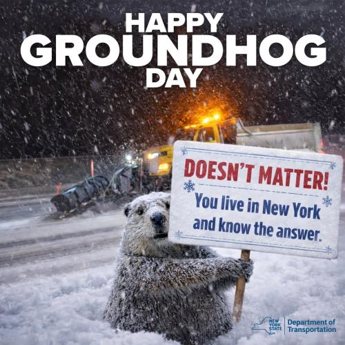 a groundhog f