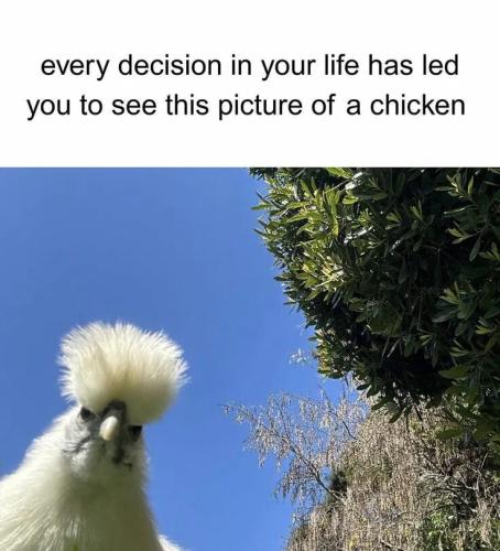 every-decision-in-life