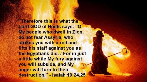 e1ee7d9d1eab6db2da124384386867ff-1