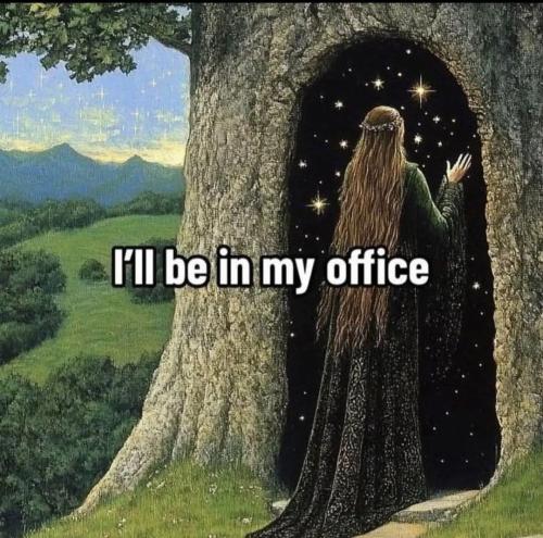 c91cd174-0d3c-4372-abd4-3c0ebf585d9b_1080x1070