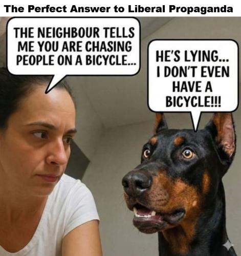 Answer to Liberal Propaganda.1024px