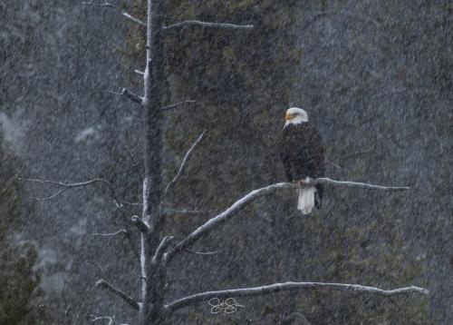 633433820_122213561756317042_2594481458219238780_n