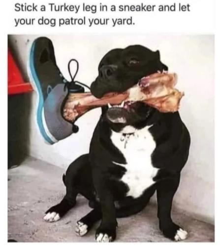 37da0fe1ff3e49e907e3cd363a5928c5