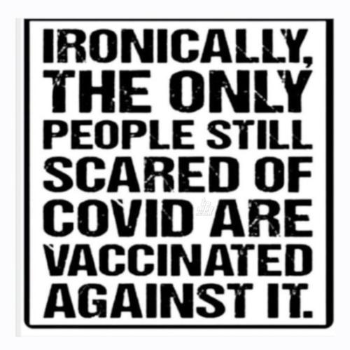 main-qimg-c4699f185eda751cc788c23ee6e0845e