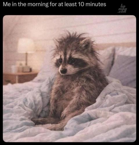 main-qimg-897d2ccc90f2ecff056e4b51fbd27786