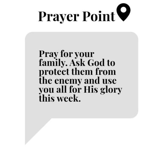 afc00187-255c-4f56-a31c-361d5b4dda92