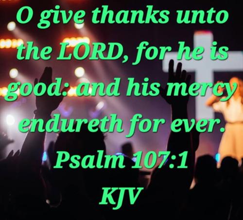 8f855e88-4db7-4b88-b129-b16dcd53fe29